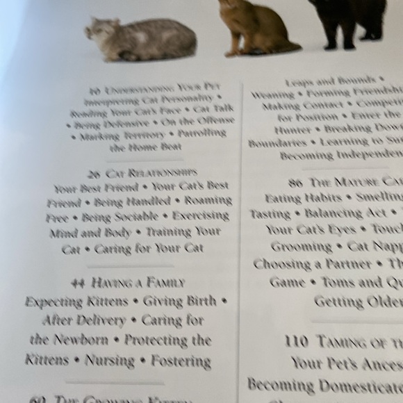 Know Your Cat by Bruce Fogle DVM great pictures & greater information - Picture 4 of 12